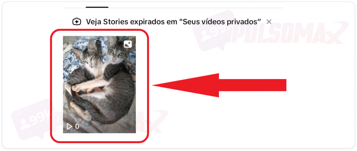 Story selecionado para excluir no TikTok.