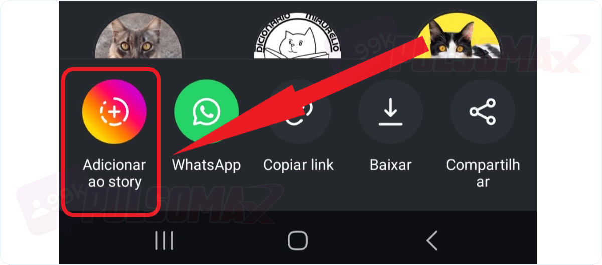 Adicionar ao story, vídeos do reels