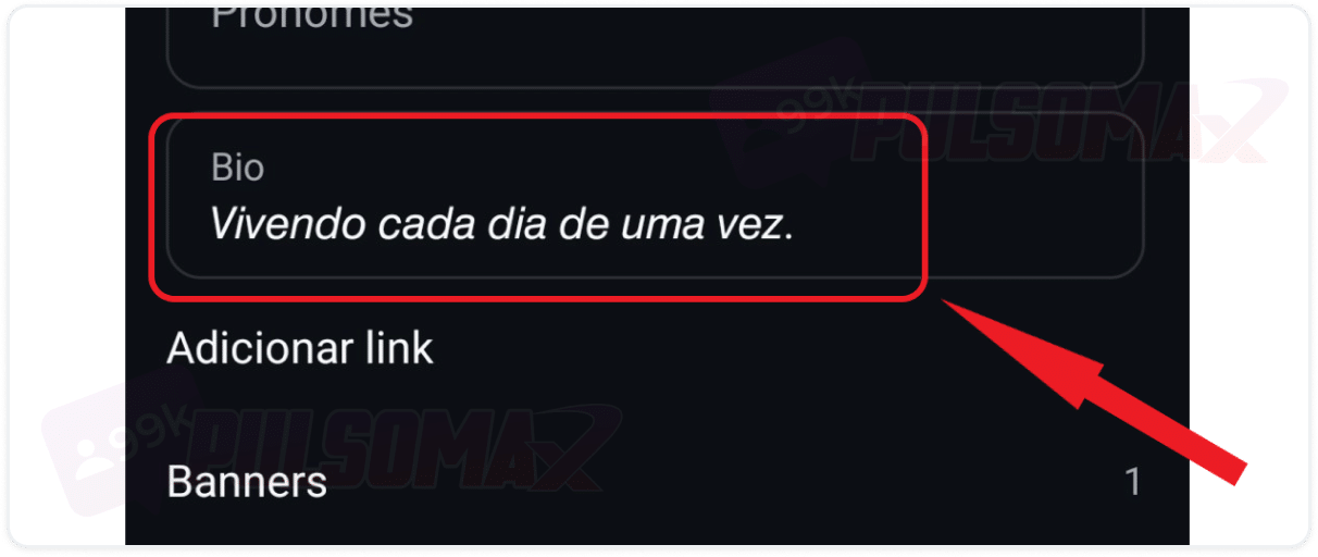 Print mostrando a biografia de um usuário do Instagram usando uma fonte em itálico. 