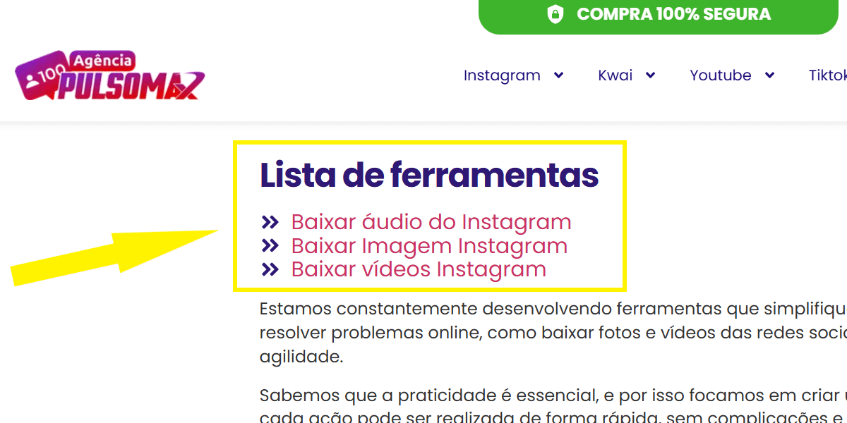 Print mostrando as ferramentas Pulsomax de download do Instagram