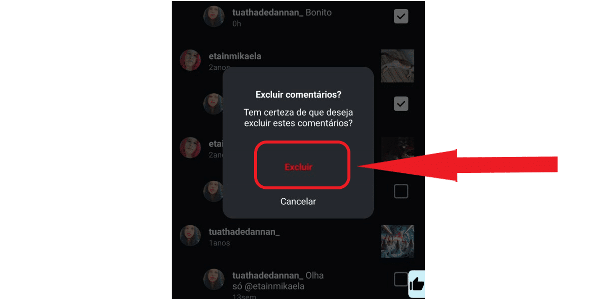 Confirmar exclusão de comentário Instagram