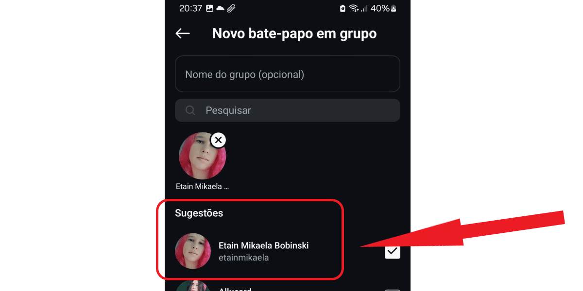 Seleção de pessoas para grupo no Instagram