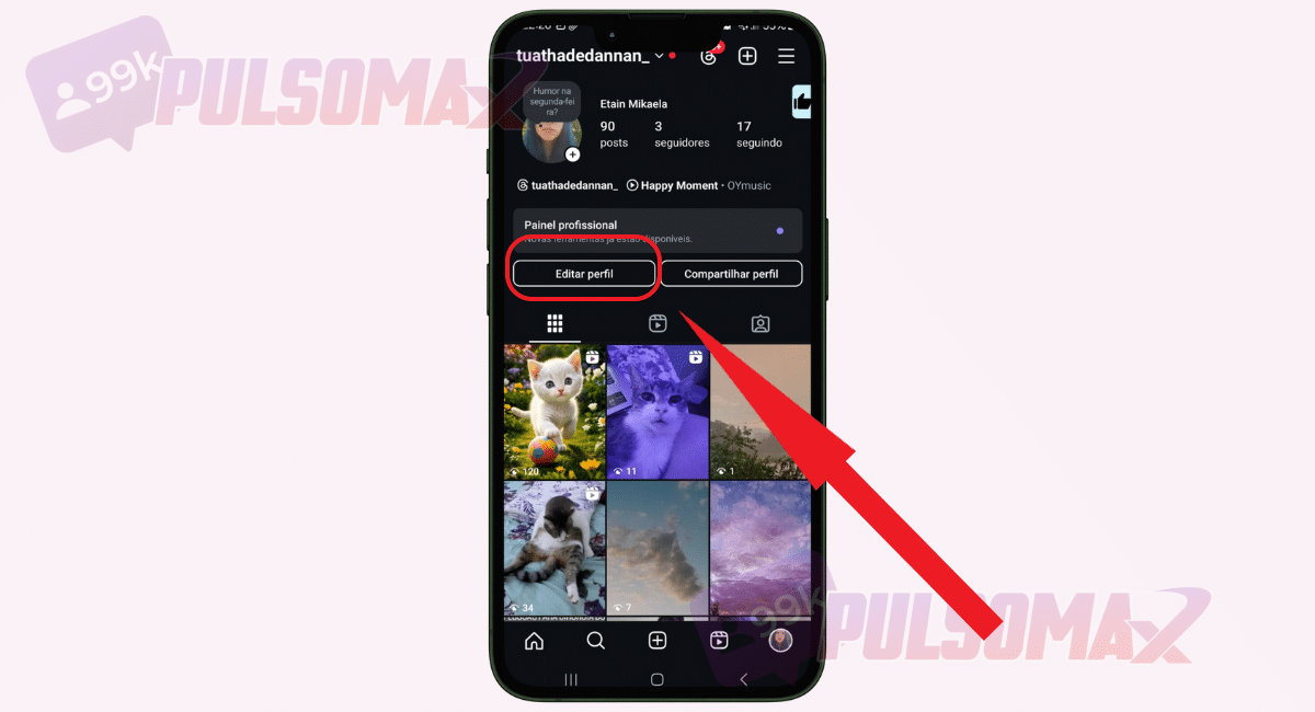 Botão editar perfil no Instagram