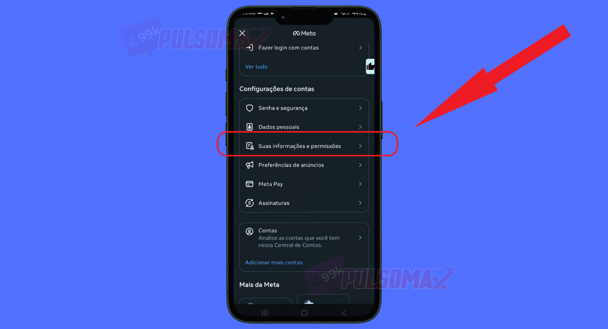 Print da função suas informações e permissões, no Instagram.