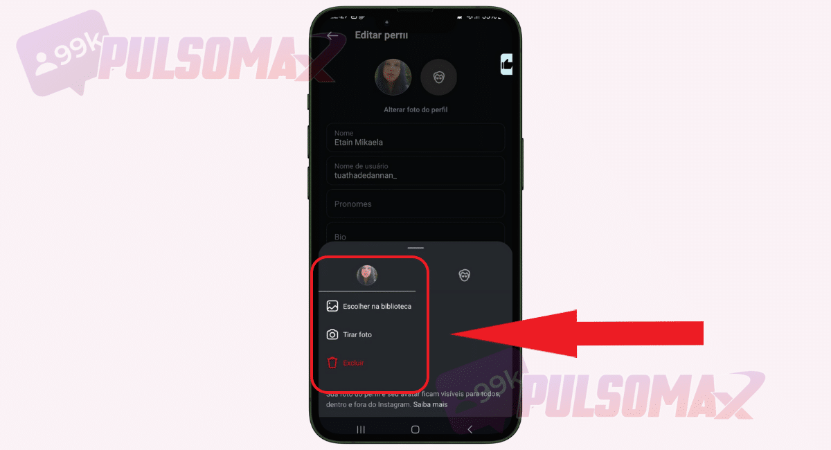 Opções de foto de perfil Instagram