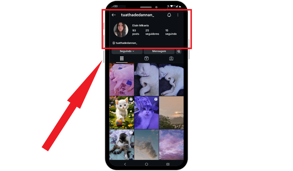 Erros que voc&ecirc; n&atilde;o deve cometer ao comprar seguidores Instagram - print mostrando um perfil real do Instagram
