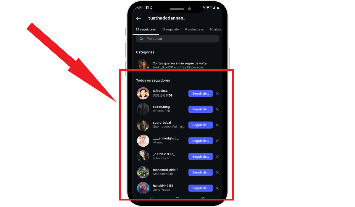 Todos os seguidores comprados realmente s&atilde;o reais e brasileiros? Print mostrando seguidores estrangeiros em perfil do Instagram