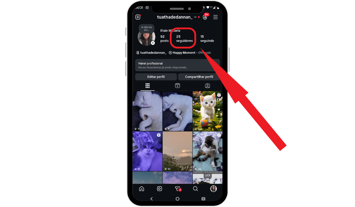 O que é a reposição de seguidores e como funciona? Print mostrando número de seguidores em perfil do Instagram